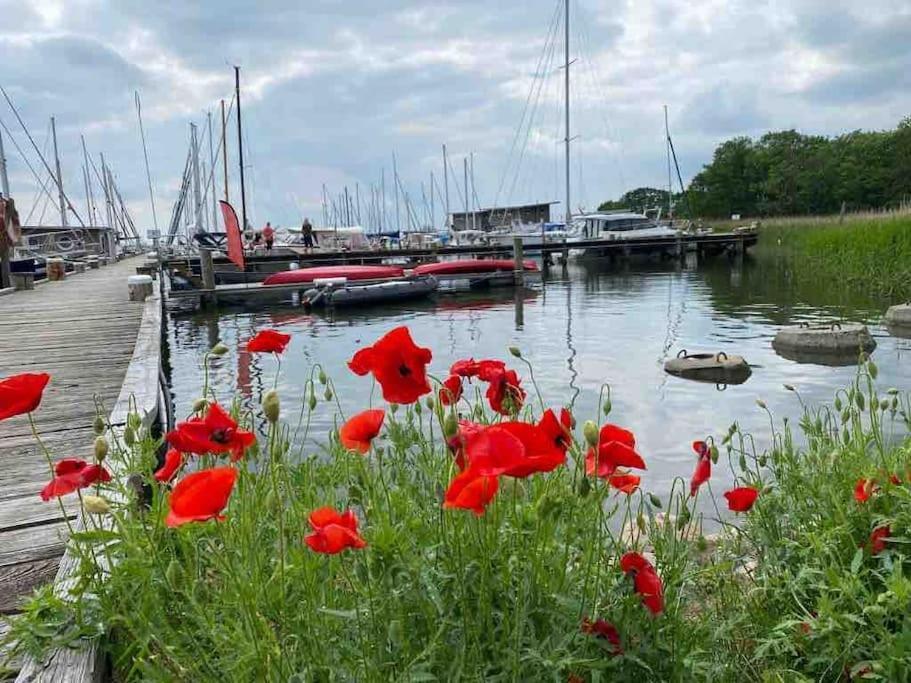 Ferienhaus Mit Wasserblick Auf Der Insel Usedom Krummin Eksteriør bilde